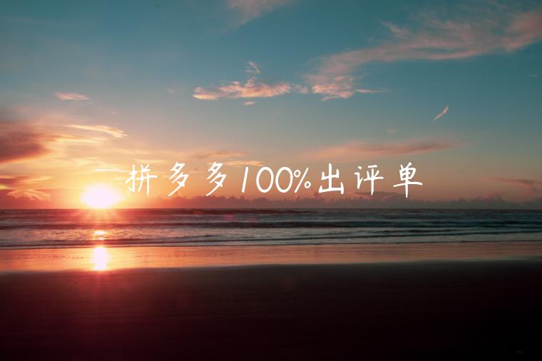 拼多多100%出評單